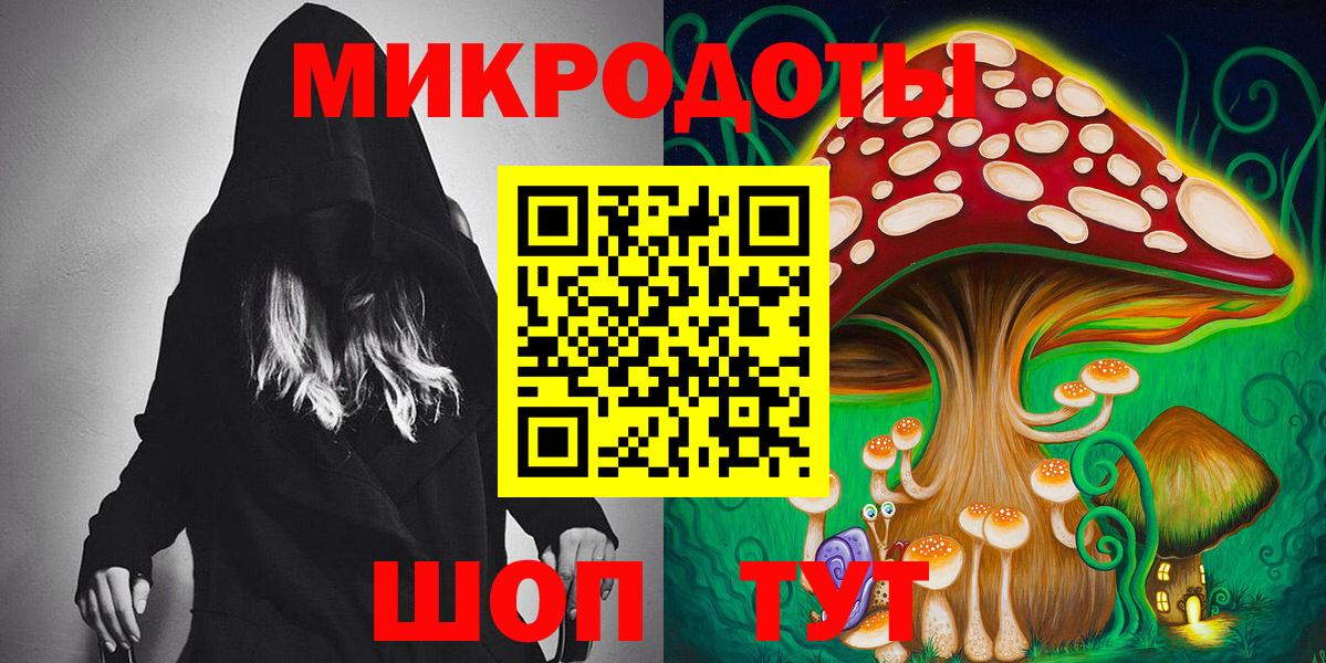 Галлюциногенные грибы Psilocybine cubensis Коломна