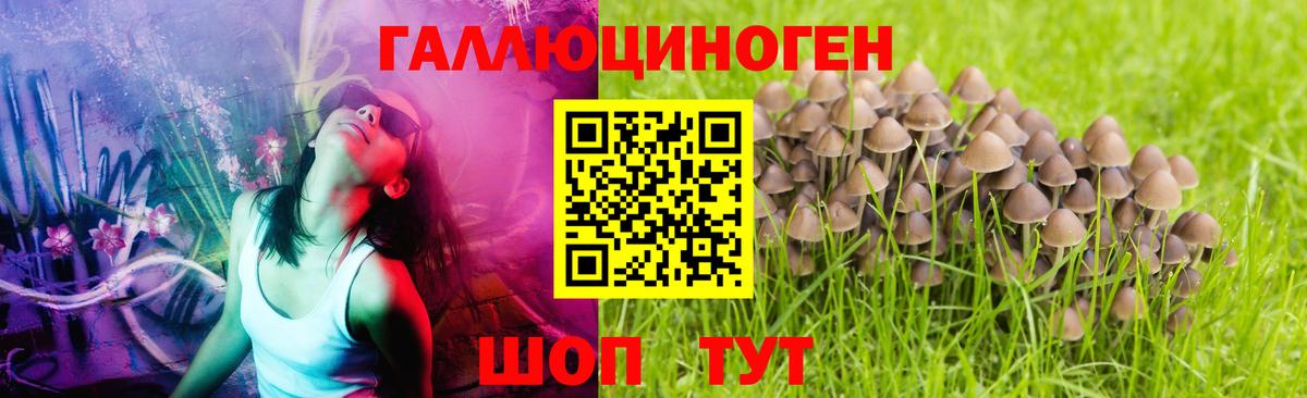 Коломна  купить   Вход с VPN  Галлюциногенные грибы Psilocybe  Псилоцибиновые грибы ЛСД 